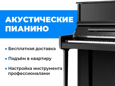 Цифровое пианино Orla CDP1 купить в интернет-магазине Pianoplanet.ru всего  за 46 590 руб.