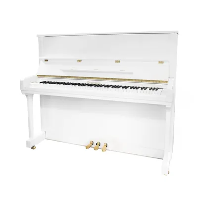 Solista DP600R Цифровое пианино купить в Минске - Musicpro.by