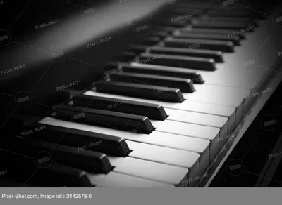 Клавиши пианино крупным планом :: Стоковая фотография :: Pixel-Shot Studio