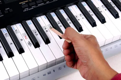 Музыкальная школа Jam`s cool для детей и взрослых | Пианино vs синтезатор:  осваиваем клавиши