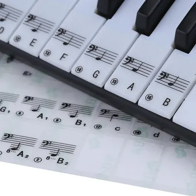 Наклейки Woozzee На клавиши пианино купить по цене 204 ₽ в  интернет-магазине Детский мир