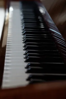 Наклейки на клавиши пианино (фортепиано), самоклеющиеся, прозрачные с  цветными названиями нот - купить с доставкой по выгодным ценам в  интернет-магазине OZON (700739023)