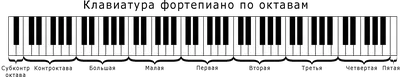 Сколько клавиш у пианино | Все о фортепиано