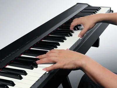 Статья, Виды клавиш пианино | Muzmart