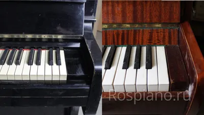 Сколько клавиш у пианино (фортепиано)? | RosPiano