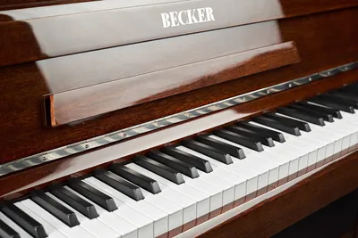 Гибкое пианино SpeedRoll S2029-61 - купить с доставкой по выгодным ценам в  интернет-магазине OZON (402351601)