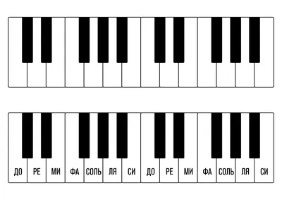 Выбираем цифровое пианино Becker - обзор и наш рейтинг электронных пианино  от Беккер