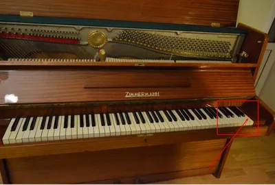 Цифровое пианино Artesia A-61 Black – купить в рассрочку без переплат, с  гарантией и доставкой по Казахстану | Первый музыкальный - интернет магазин
