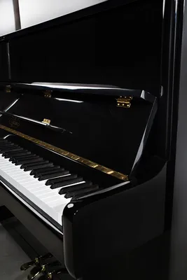 Пианино «Мелодия», модель 120 Special Edition — купить по выгодной цене от  производителя 🎹