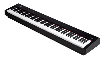 Электронное пианино детское, 25 клавиш New Classic Toys - Інтернет-магазин  Мажорики