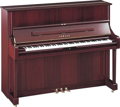 Акустическое пианино Yamaha U1 PM