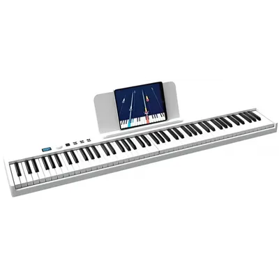 Solista DP600R Цифровое пианино купить в Минске - Musicpro.by
