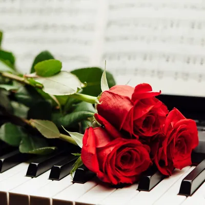Пианино и цветы фото 59 фото