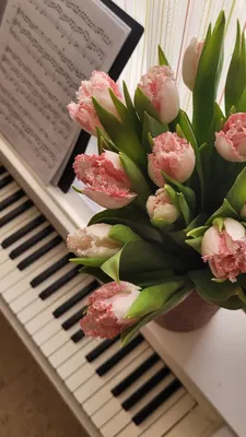 Букет из белых роз на пианино Цветы на музыкальном инструменте День  рождения, 8-ое марта, Международный женский день 14-ое феврал Стоковое Фото  - изображение насчитывающей согласие, природа: 168544072