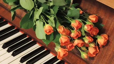 Скачать обои пианино, розы, бутоны, раздел цветы в разрешении 1601x900 |  Красивые цветы, Розы, Цветы