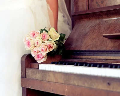 Скачать обои цветы, стиль, роза, пианино, клавиши разрешение 1280x800  #135790