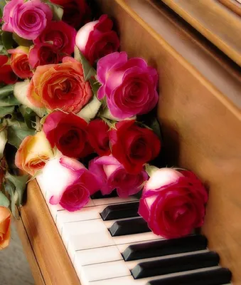 Цветы на пианино - 34 фото | Цветы, Пианино, Открытки
