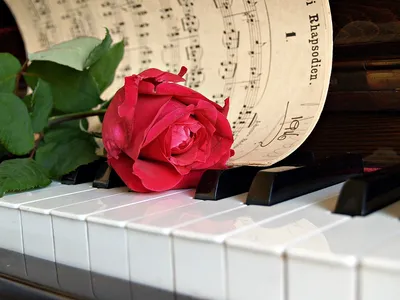 Скачать 1280x1024 розы, цветы, букет, пианино, музыка, невеста обои,  картинки стандарт 5:4