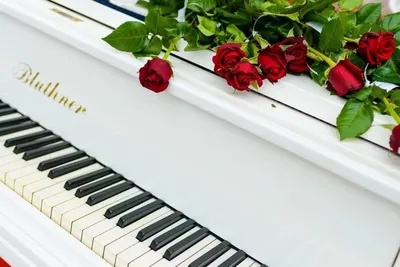 букет цветов на пианино розовые тюльпаны. Стоковое Изображение -  изображение насчитывающей подарок, урок: 269971885