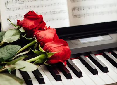 Фотографии Пианино Розы Красный Цветы Трое 3 Фортепиано втроем | Пианино,  Розы, Цветы
