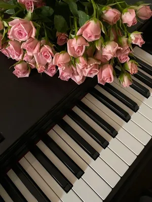 Обнаженные и белые красивые розы на пианино Цветы на музыкальном  инструменте поздравительная открытка Международный женский день, Стоковое  Изображение - изображение насчитывающей сработанность, день: 162307079