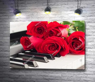На пианино и белых роз. Музыка и цветок. Стоковое Изображение - изображение  насчитывающей родово, флористическо: 183468365