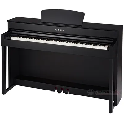 YAMAHA P45B Пианино цифровое купить в интернет-магазине 3tone.me