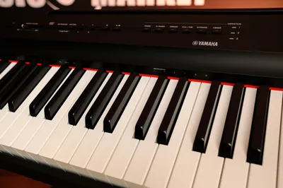 Цифровое пианино Yamaha P-45 B – купить в рассрочку без переплат, с  гарантией и доставкой по Казахстану | Первый музыкальный - интернет магазин