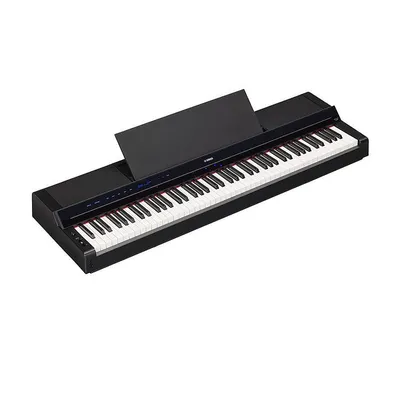Цифровое пианино Yamaha YDP-145B Arius 88 клавиш - купить Цифровые  фортепиано и цифровые рояли