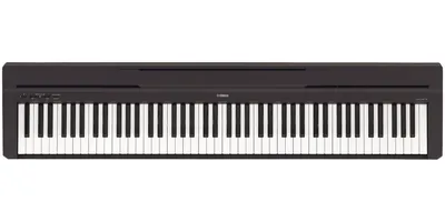 Цифровое пианино Yamaha PS500B с подсветкой Stream Lights — черное PS500B  Digital Piano with Stream Lights – заказать с доставкой из-за рубежа через  онлайн-сервис «CDEK.Shopping»