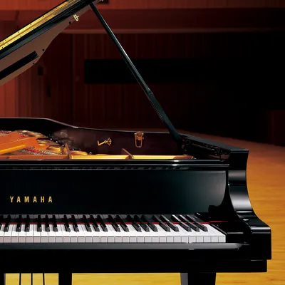 Цифровое пианино Yamaha p-125 + Стойка.: 23 500 грн. - Пианино / фортепиано  / рояли Одесса на Olx