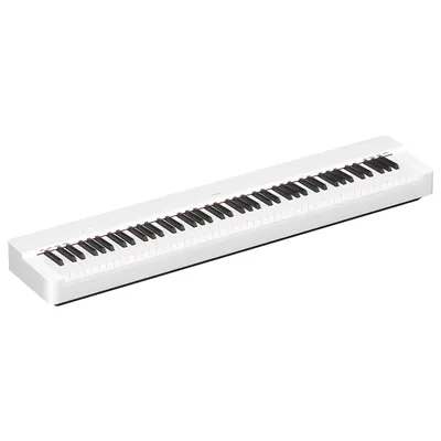Цифровое пианино Artesia DP-3+ PVC RSW – купить в рассрочку без переплат, с  гарантией и доставкой по Казахстану | Первый музыкальный - интернет магазин