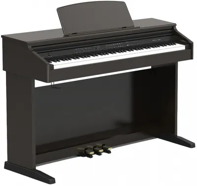 Купить акустическое пианино | Sound Dealer