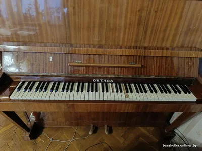Цифровое пианино Orla Stage Studio Black купить в Минске, Беларуси