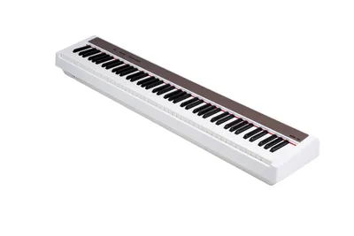 Nux NPK-10-WH цифровое пианино, белое — купить в городе Иркутск, цена, фото  — Гитарный салон