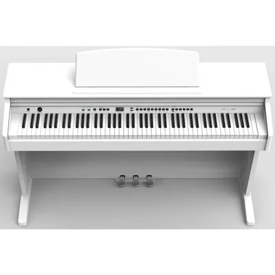 Рисунок клавиатуры фортепиано (37 фото) » Рисунки для срисовки и не только