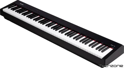 Nux NPK-10-BK Цифровое пианино, черное купить в Якутске
