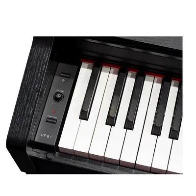 Цифровое пианино Orla CDP 101 White M купить в Минске, Беларуси