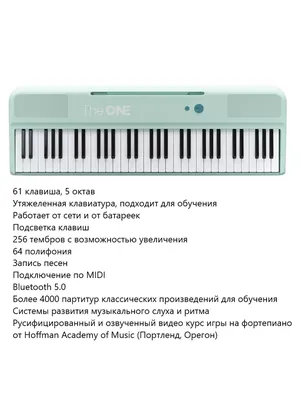 Medeli UP81 BK купить с гарантией снижения цены цифровое пианино в интернет  магазине Мир Музыки
