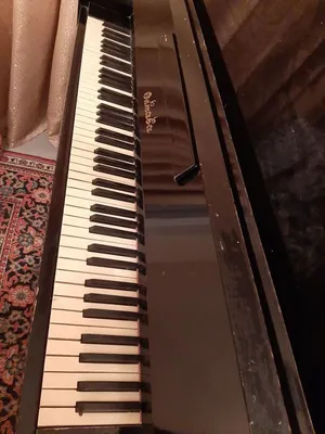 Пианино «Беларусь» Anika.by