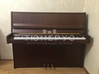 Подержанное пианино Petrof №590796 | модель: P116 E1 | высота: 116 см. |  цена: 220000 руб. | Тюнерус.ру