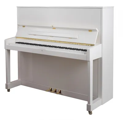 Пианино Petrof Higher P 125 K1 белое, полированное - купить в  интернет-магазине Глинки.ру