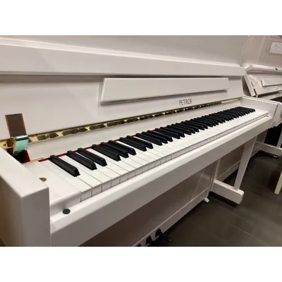 Акустическое пианино Petrof P 118 M1 белый полированный, купить за 875 700  рублей – характеристики, обзор, отзывы | Love-Piano – доставка по Москве,  Санкт-Петербургу и РФ.