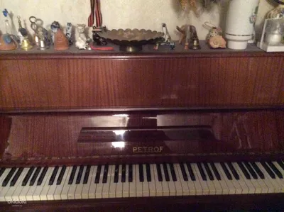 Пианино Petrof, цена 2 210 у.е. от PRIMERMUSIC, купить в Ташкенте,  Узбекистан - фото и отзывы на Glotr.uz