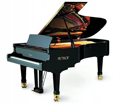 Как выбрать пианино или рояль? - news.pianos.kz