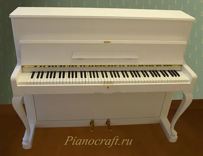 Срочно Пианино Петроф (Petrof), 1968 года – купить в Москве, цена 25 000  руб., продано 26 мая 2019 – Музыкальные инструменты