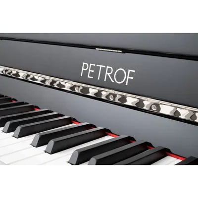 Акустическое пианино Petrof Magic Egg купить в Минске, цена и отзывы