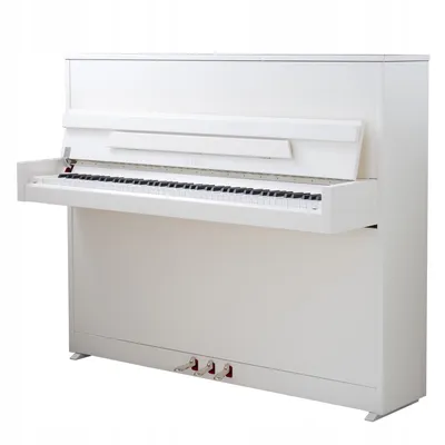 Petrof P 125M1(0801) Индивидуальные условия при покупке акустическое пианино  в салонах Мир Музыки