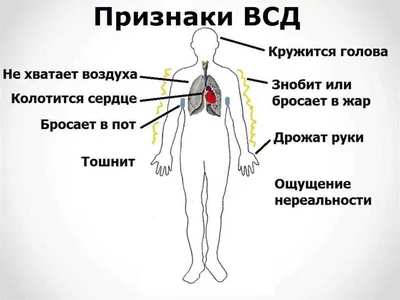 Вегето-сосудистая дистония - симптомы и лечение в Киеве