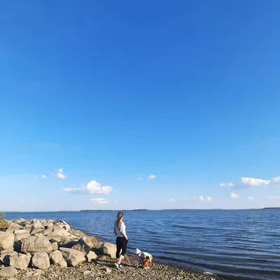Пляжный пикник» в Пичугово море - СибПоселки - Новосибирск